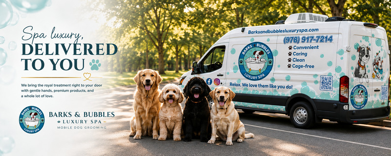 Barks And Bubbles Luxury Spa